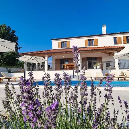 Kuca Roza - Dolinci *