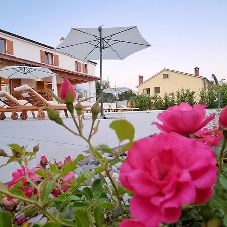 Villa Kuca Roza - Dolinci