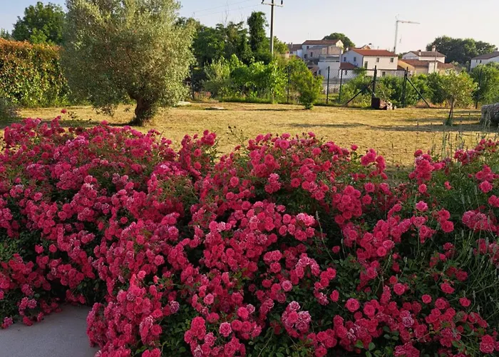 Kuca Roza - Dolinci Villa *